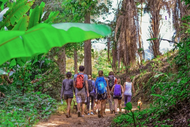 Voyage organisé en groupe