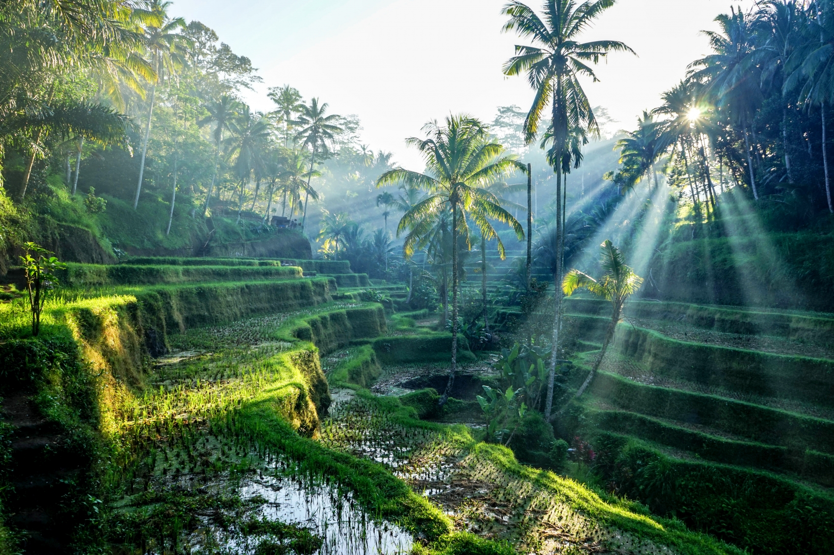 VOTRE PROGRAMME : BALI (Indonésie)