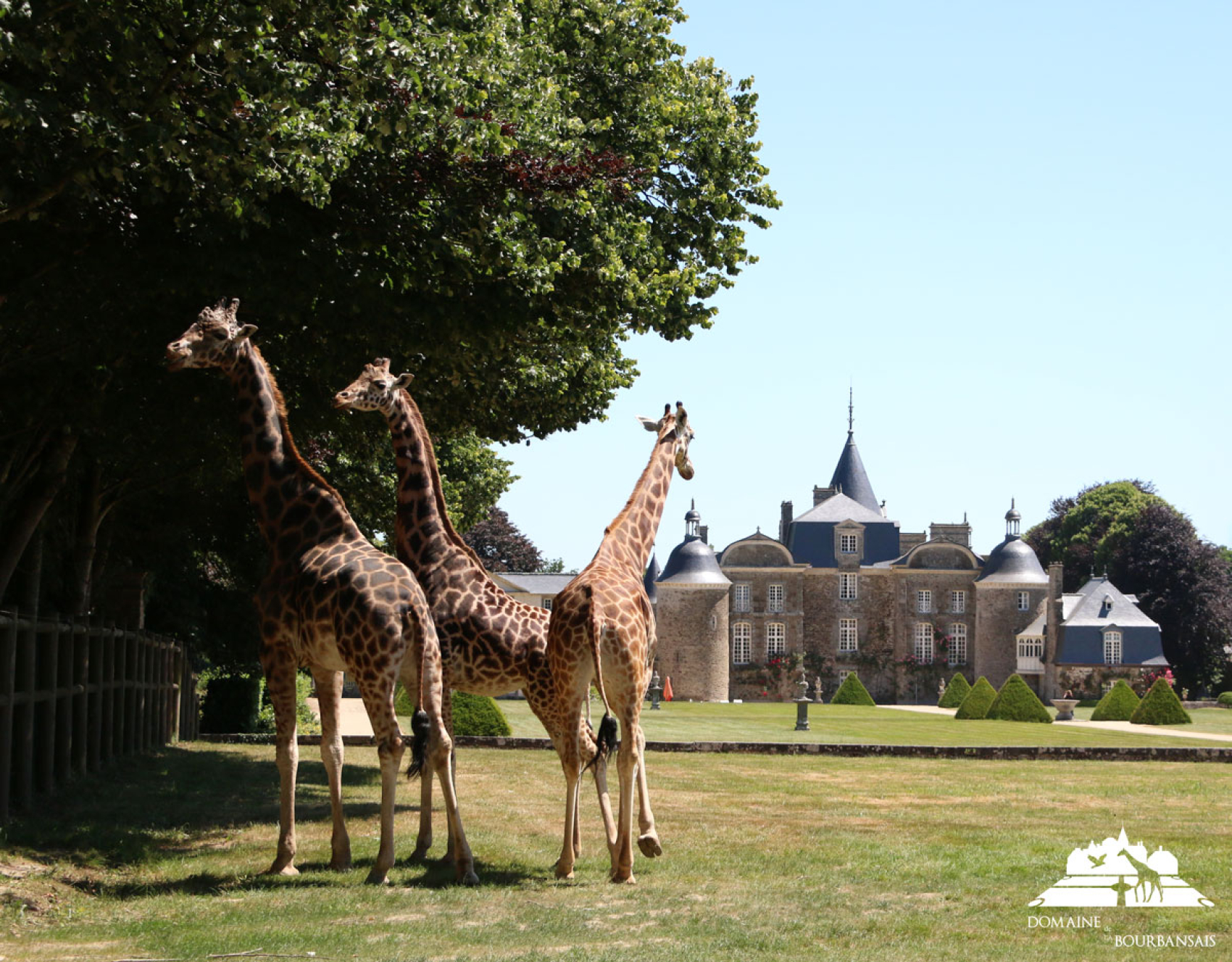 Journée au Domaine de la Bourbansais