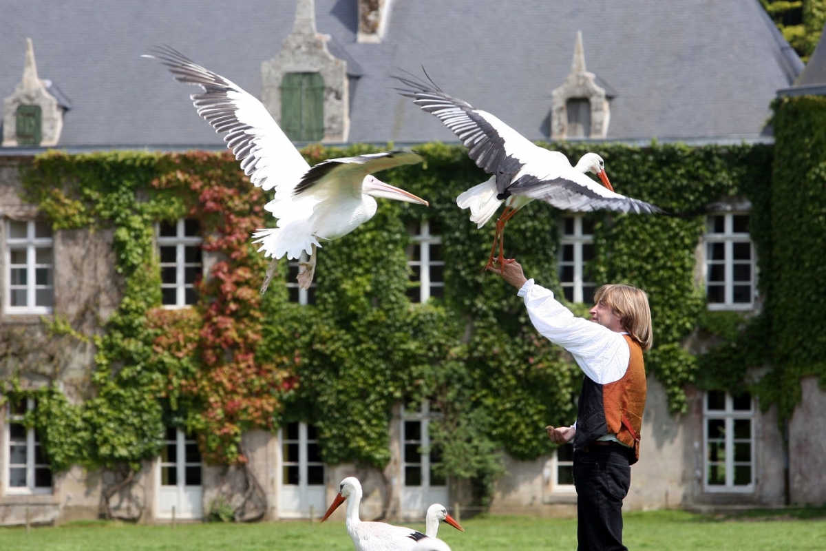 Parc de Branféré et la Gacilly