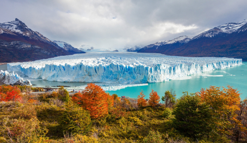 Argentine