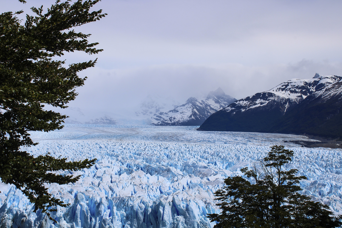 Argentine