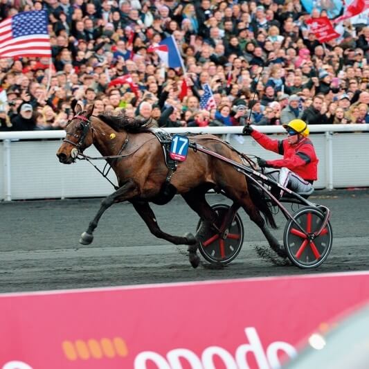 Grand Prix d’Amérique - Vincennes