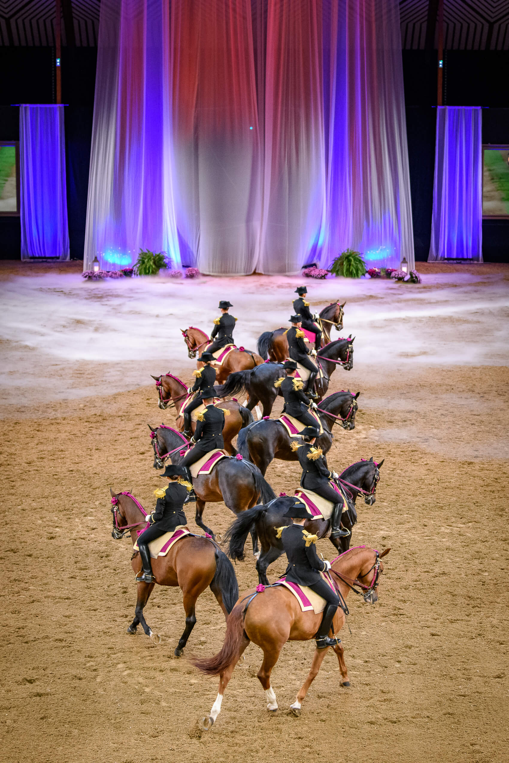 GALA du bicentenaire du Cadre Noir de Saumur