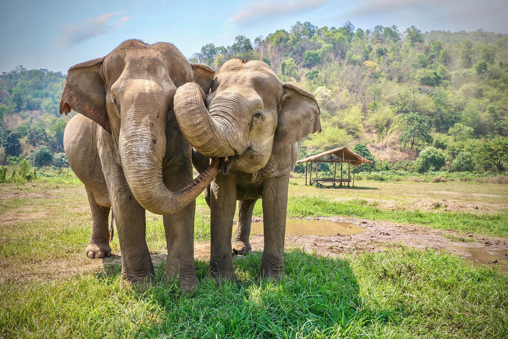 Thaïlande