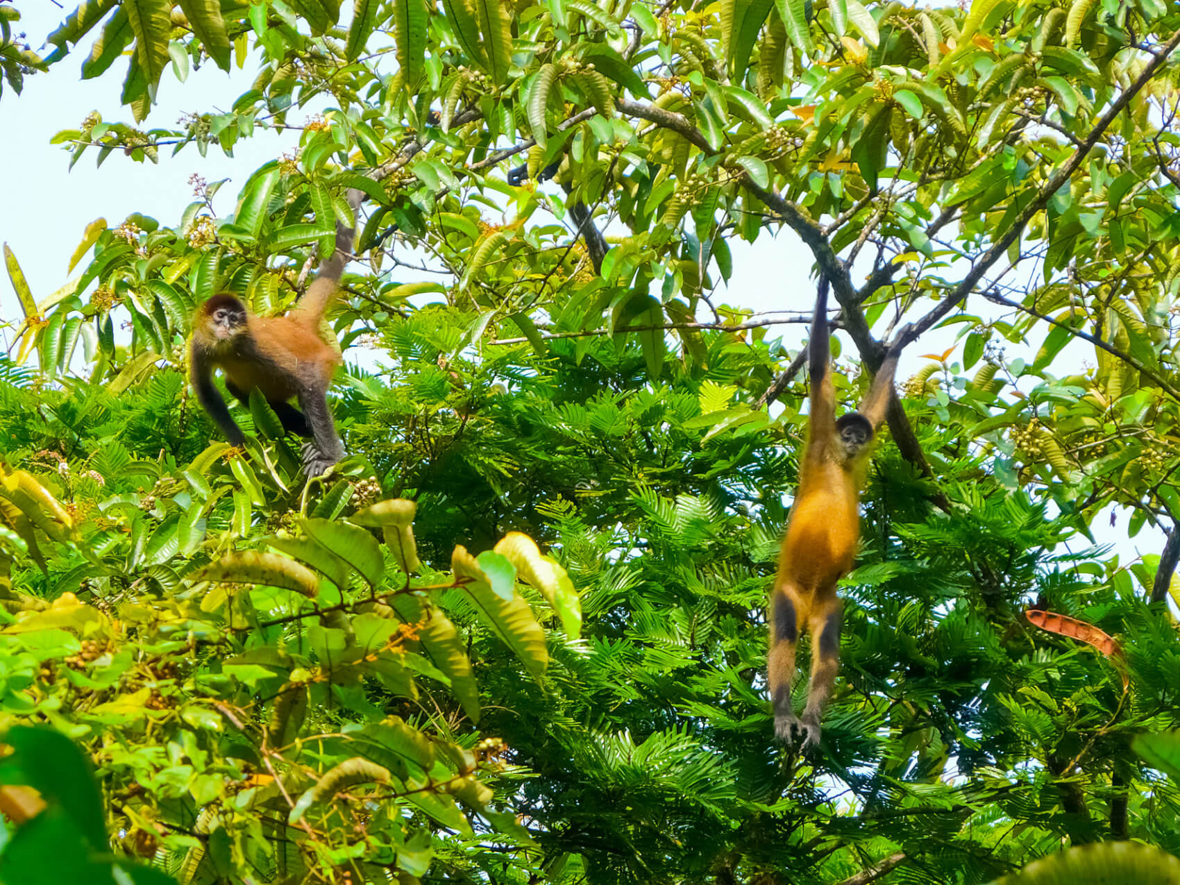 Costa Rica